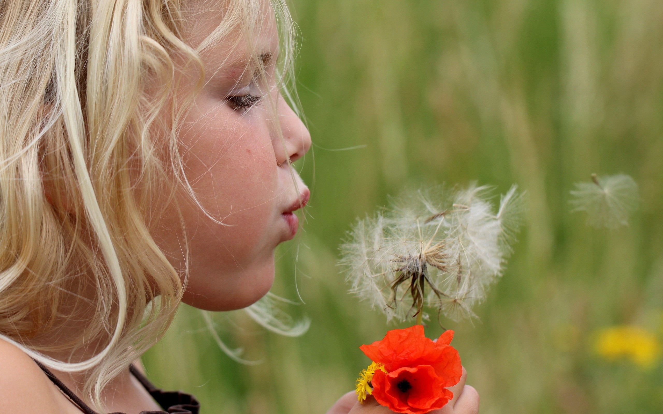 blowing on a dandelion saying